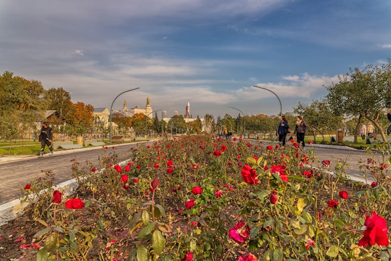 影視旅遊與城市漫步：2026年香港旅客消費新面貌